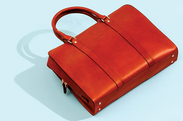 briefcase7