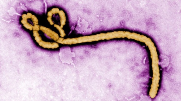 embola