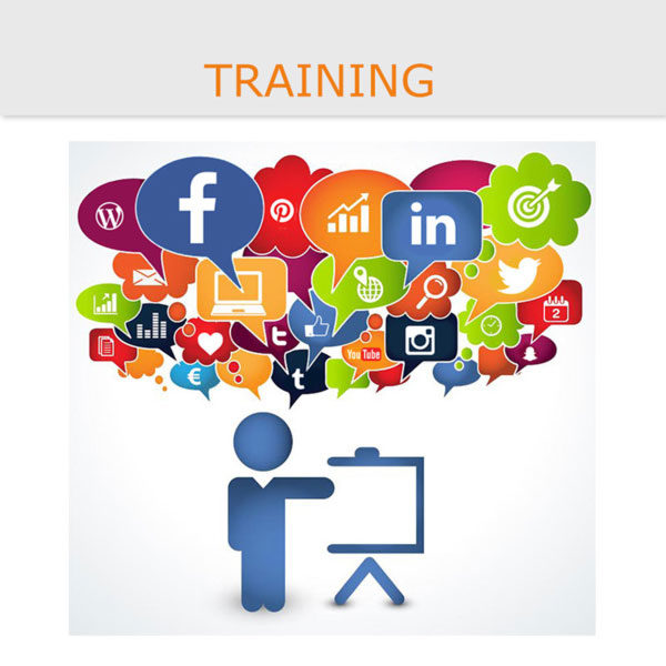 social media coaching - skype training